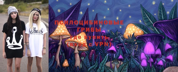 МДПВ Армянск