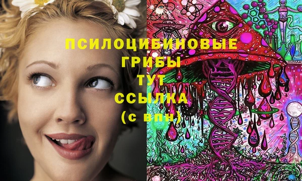 МДПВ Армянск
