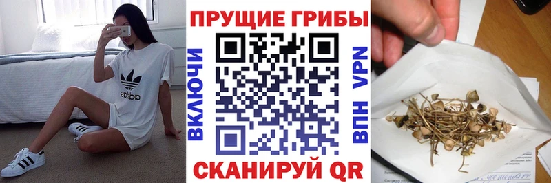 Галлюциногенные грибы MAGIC MUSHROOMS  что такое   Семикаракорск 